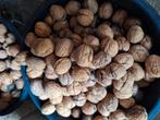25 kg BIOLOGISCHE VERSE NOTEN VOOR 2,50 €/KG, Diversen, Levensmiddelen, Ophalen