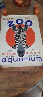 affiche zoo/  bezoek de zoo van antwerpen en zijn aquarium, Verzamelen, Posters, Ophalen of Verzenden, Zo goed als nieuw, Rechthoekig Staand