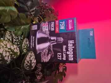 Arcadia halogen lamp 75w beschikbaar voor biedingen