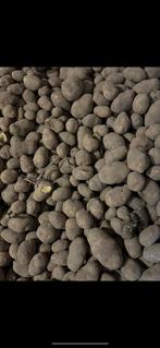 Voederaardappelen, Zakelijke goederen, Landbouw | Veevoer, Ophalen