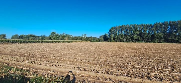 LANDBOUWGROND GELEGEN TE VIANE, Immo, Gronden en Bouwgronden, 1500 m² of meer