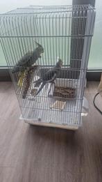 Vogelkooi, Dieren en Toebehoren, Ophalen, Zo goed als nieuw, Metaal, Vogelkooi