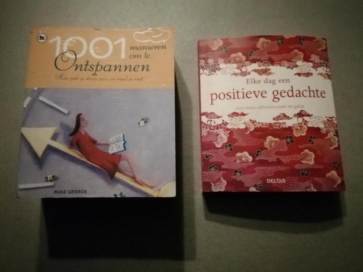 2 boekjes elke dag een positieve gedachte en 1001 manieren.., Livres, Psychologie, Neuf, Autres sujets/thèmes, Enlèvement ou Envoi