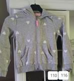 Meisjes vest, Kinderen en Baby's, Kinderkleding | Maat 116, Ophalen, Zo goed als nieuw