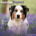 Australian Shepherd kalender 2026, Ophalen of Verzenden, Jaarkalender, Nieuw