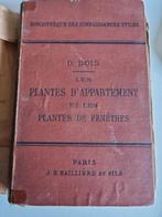 appartement plantes et les plantes fenetres 1891, Enlèvement ou Envoi