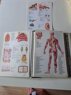 Medische boeken + anatomische kaarten, Ophalen, Gelezen