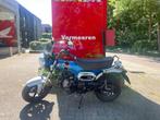 Honda ST125 Dax (bj 2024), Motoren, Motoren | Honda, Bedrijf, 125 cc, Overig