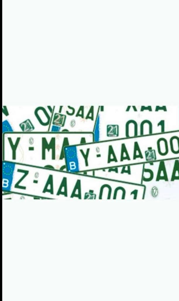 Z-Platen voor keuring en verplaatsing, Auto diversen, Auto-accessoires, Ophalen of Verzenden