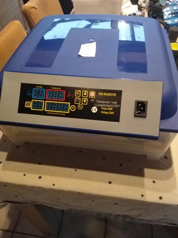 Incubateur pour poulets pour reptiles, nouveau, Animaux & Accessoires, Volatiles | Accessoires, Neuf, Enlèvement