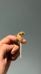 Gecko a crete wimpergecko crestedgecko, Dieren en Toebehoren, Reptielen en Amfibieën