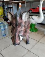 Everzwijn, Enlèvement