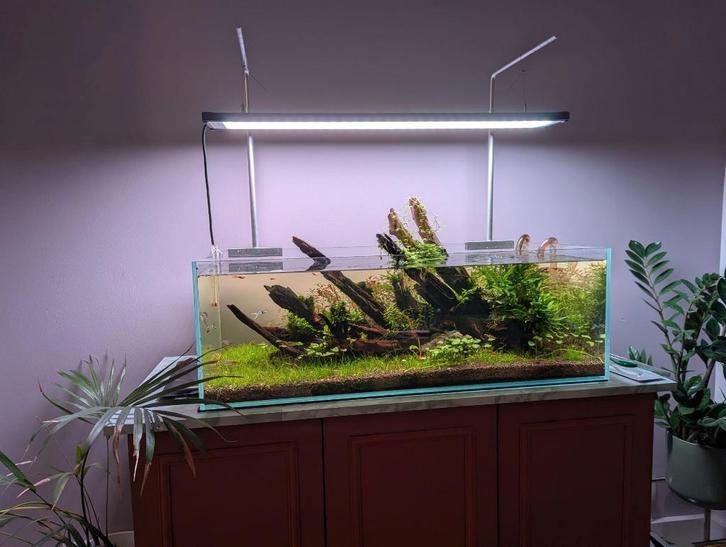 Aquascape aquarium, Animaux & Accessoires, Poissons | Aquariums & Accessoires, Utilisé, Aquarium d'eau douce rempli, Enlèvement