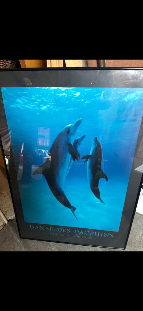 Cadre dauphins, Maison & Meubles, Accessoires pour la Maison | Cadres, Enlèvement