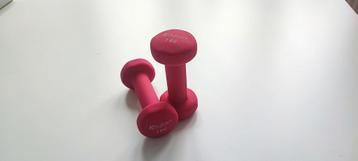 Gewichten 1kg beschikbaar voor biedingen