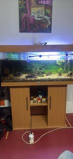 Aquarium te koop juwel 180, Dieren en Toebehoren, Ophalen, Zo goed als nieuw
