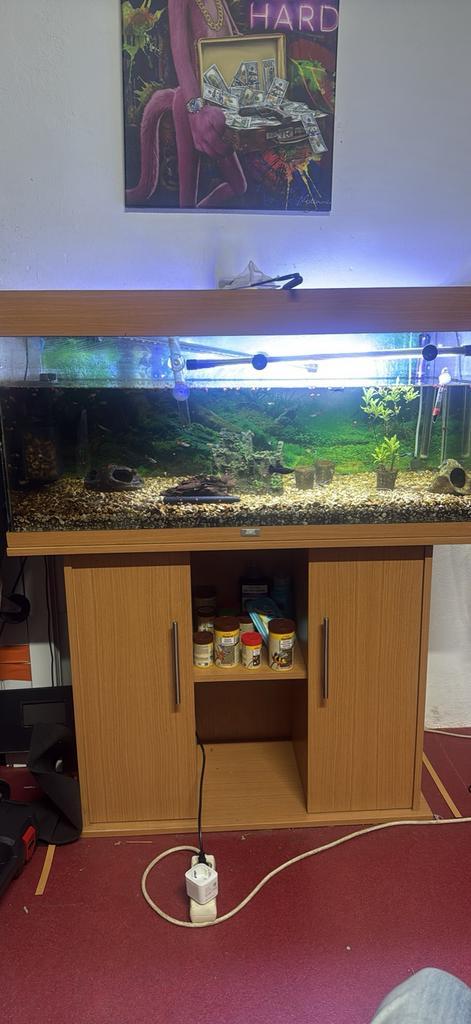 Aquarium te koop juwel 180, Dieren en Toebehoren, Vissen | Aquaria en Toebehoren, Zo goed als nieuw, Ophalen