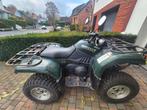 Quad Yamaha grizzly 660cc 2006, Motoren