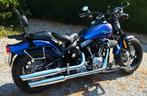 HARLEY-DAVIDSON KRUISBEENDEREN UIT 2010, Motoren, Motoren | Harley-Davidson, Particulier