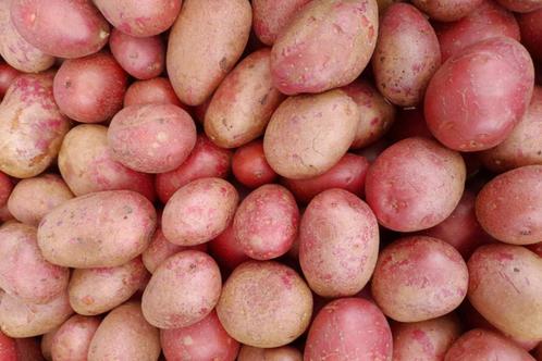 BIO aardappelen te koop, Diversen, Levensmiddelen, Ophalen
