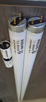 Tube fluorescent 36w (x2) G13 + starter x2(120m) a saisir ↙️, Ophalen, Zo goed als nieuw, Glas, 100 tot 150 cm