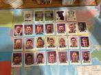 Panini Belgie ‘ Foot 2013’ team Rsc Anderlecht, Ophalen of Verzenden, Nieuw, Sticker