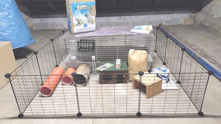 Cavia kooi met vrijloopren en alle toebehoren, Dieren en Toebehoren, Knaagdieren en Konijnen | Hokken en Kooien, Cavia, Ophalen