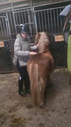 Braaf vosje bijna 6 jaar., Dieren en Toebehoren, Paarden en Pony's | Verzorgingsproducten, Ophalen, Zo goed als nieuw