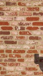 Brique Vieux kwaeremont, Briques