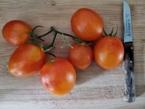 tomaat Jaune Flammée - 5 zaden, Tuin en Terras, Bloembollen en Zaden, Zaad, Voorjaar, Volle zon, Verzenden