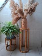 Rotan (planten)tafeltjes, Enlèvement