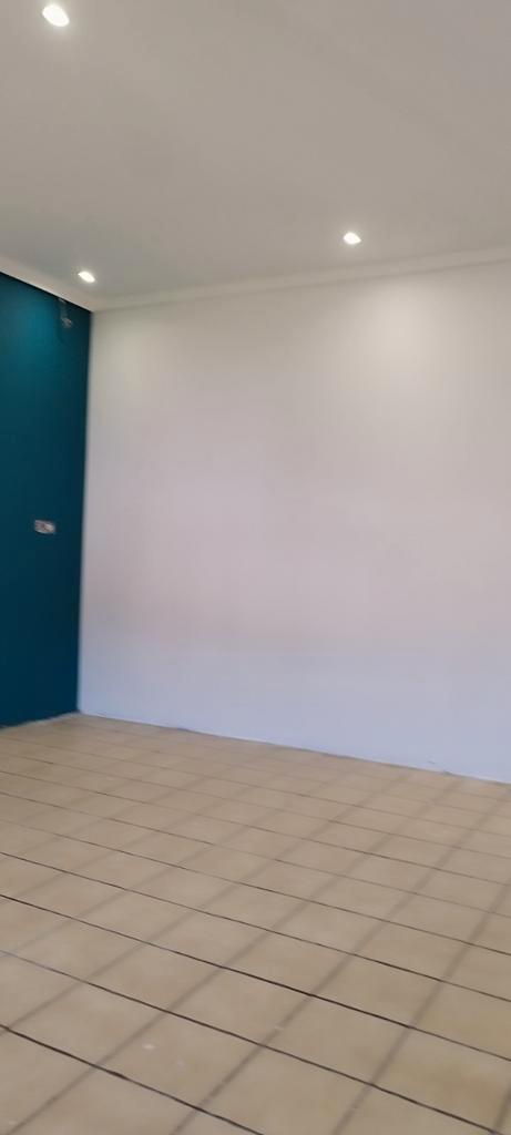 Société de Plafonnage peinture carrelage crépi, Doe-het-zelf en Bouw, Verf, Beits en Lak, Verf