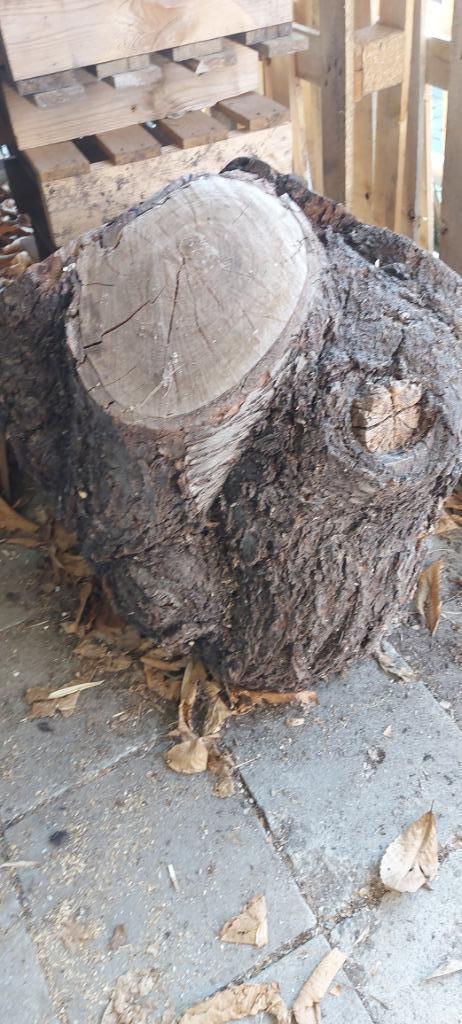 boomstam voor beeldhouwer of stook, Doe-het-zelf en Bouw, Hout en Planken, Nieuw, Overige typen, Overige houtsoorten, Ophalen