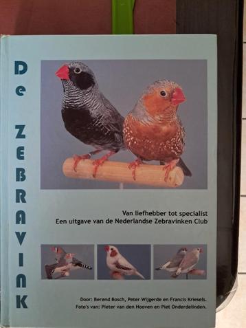 F. Kriesels - De Zebravink beschikbaar voor biedingen