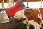 Brosse à vaches Happycow, Ophalen, Nieuw