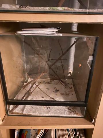 Terrarium 30x30x30cm beschikbaar voor biedingen