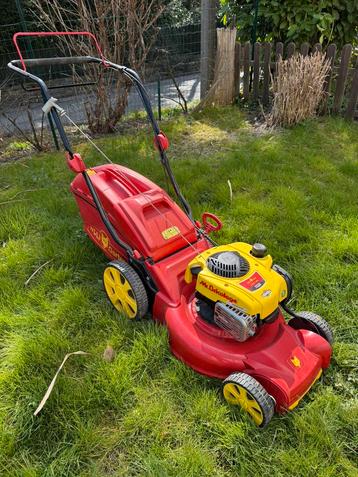 Tondeuse Thermique Wolf garten ! Etat nouvelle ! beschikbaar voor biedingen
