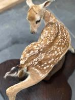 Uniek taxidermie kleine damhert, Enlèvement