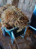 Paardenmest met stro, Dieren en Toebehoren
