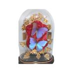 Globe Napoléon III décoré de papillons, Antiquités & Art, Enlèvement