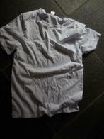 [2008] t-shirt enrico mori nieuw wit XL, Kleding | Dames, Wit, Maat 46/48 (XL) of groter, Nieuw, Ophalen of Verzenden