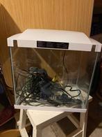 2 kleine aquaria, Ophalen, Gebruikt, Leeg aquarium
