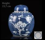 Een Chinese gemberpot en deksel (-1) - Blauw en wit -, Antiek en Kunst, Ophalen of Verzenden