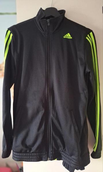 Survêtement adidas complet beschikbaar voor biedingen
