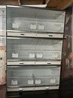 kunststof kweekkooien, Dieren en Toebehoren, Vogels | Hokken en Kooien, Ophalen, Nieuw, Kunststof, Broedkooi of Kweekkooi