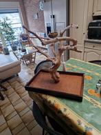 Arbre java, Animaux & Accessoires, Enlèvement