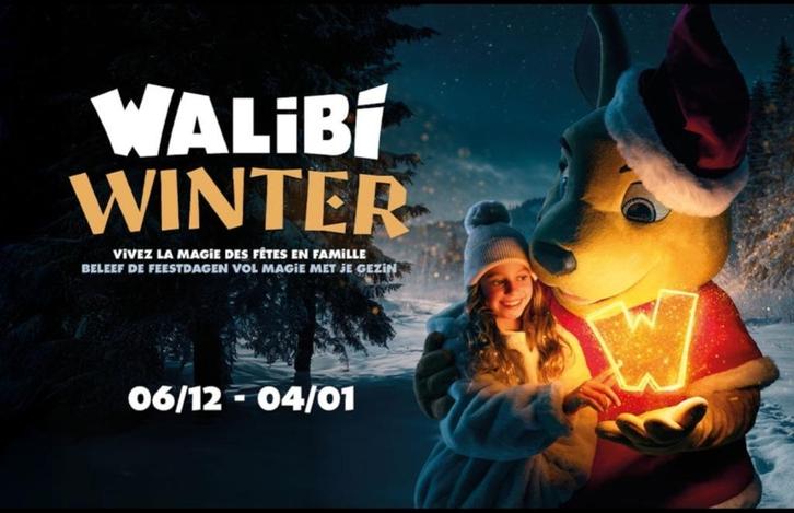 Billets à Walibi Hiver(Winter), Tickets en Kaartjes, Overige Tickets en Kaartjes, Twee personen