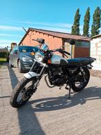 Mash 125cc, Motoren, Particulier