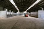 Entrepôt à vendre, 600 m², Neufchâteau, Provincie Luxemburg, 1500 m² of meer