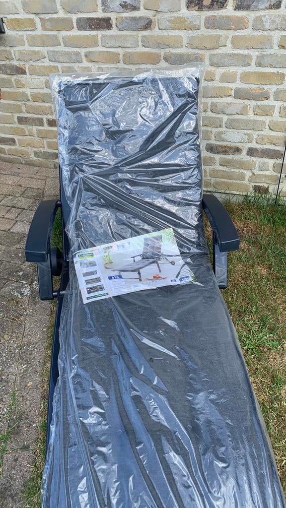 Plastic ligbed, Jardin & Terrasse, Chaises longues, Enlèvement, Comme neuf, Plastique, Mobile